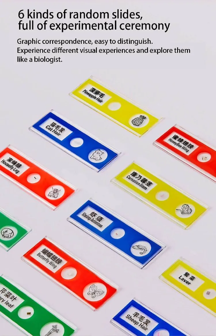 7001 7001